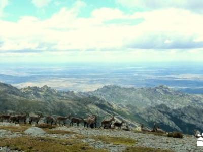 Cuerda Larga - Serie Clásica;circo de gredos bosque madrid subida a la bola del mundo